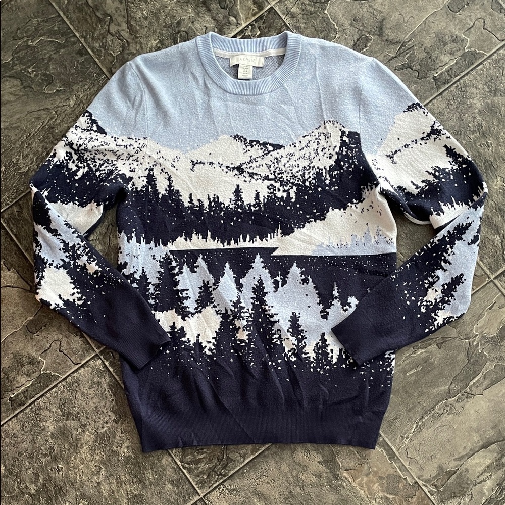ASPEN Men's Blue White Graphic Mountain Scene Knit Sweater Cottagecore Outdoorsy